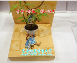 天正恒業(yè) 生日福利