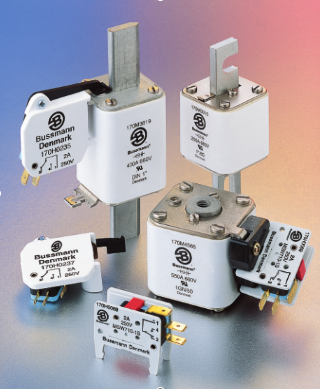 歐標(biāo)方體拍套微動(dòng)開關(guān),170H0069,170H0236