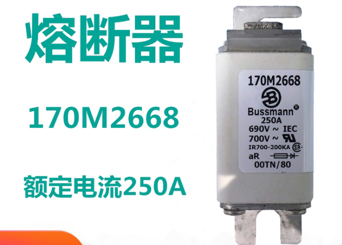 保險絲的組成部分 170M2668 保險絲的組成部分 170M2668